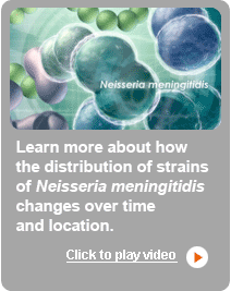 Welcome to meningitis.com