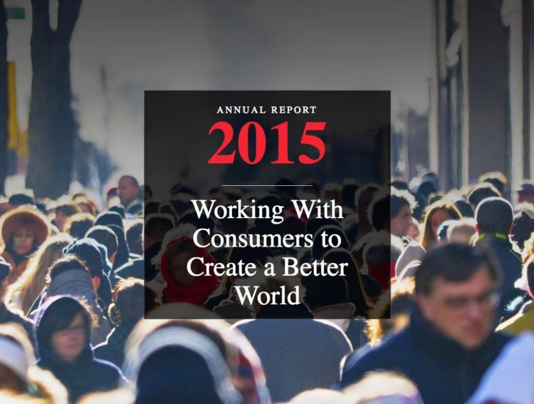 Annual Report Web site software development company Rightapplications new york