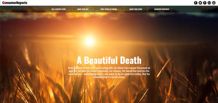 Digital Article Web site software development company Rightapplicationsnew york