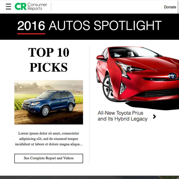 2016 Auto Spotlight software development company Rightapplications