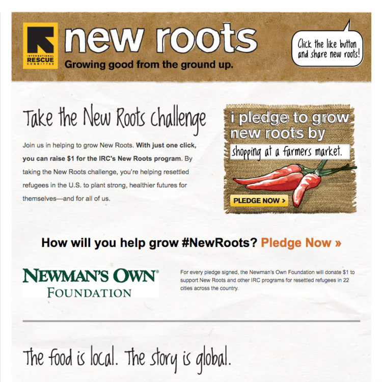 Email templates software development company Rightapplications