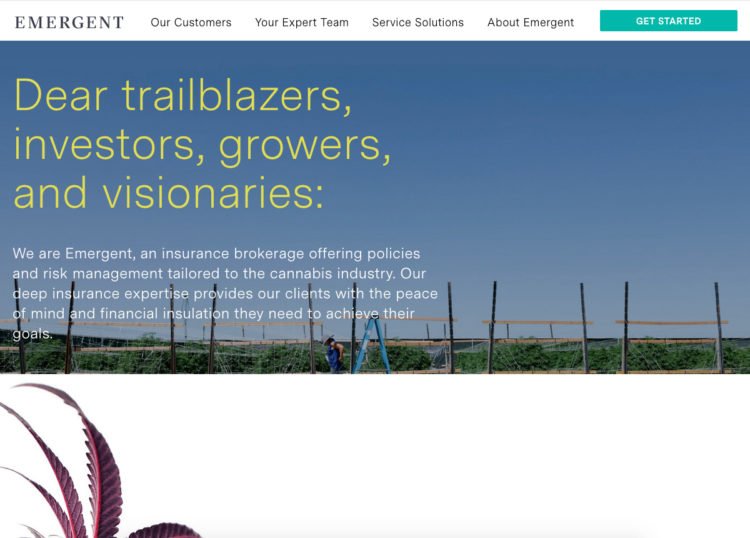 Emergent Risk software development company Rightapplications