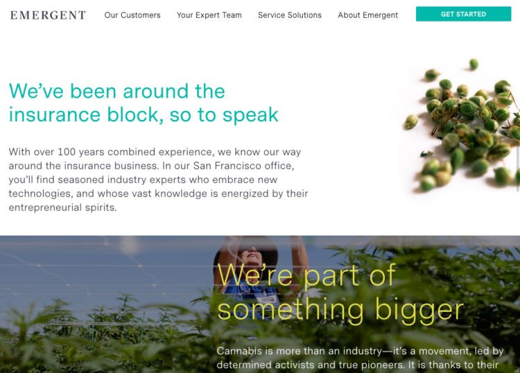 Emergent Risk software development company Rightapplications