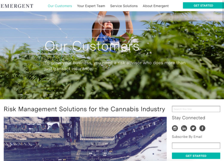Emergent Risk software development company Rightapplications